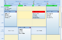 TMS Silverlight Planner 